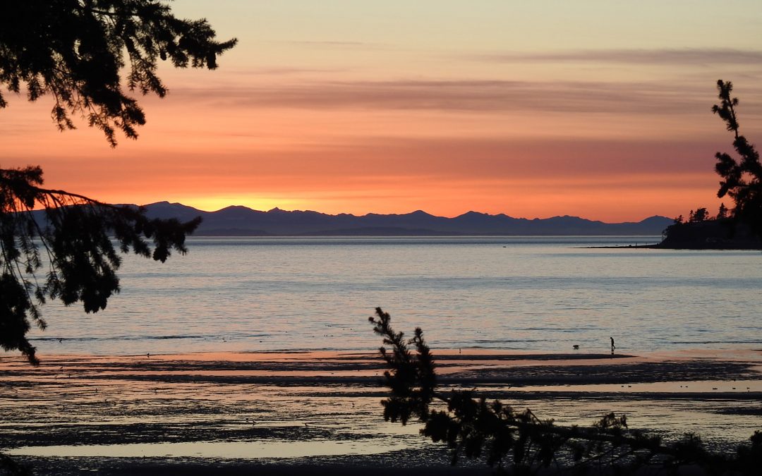 Birch Bay Sunset